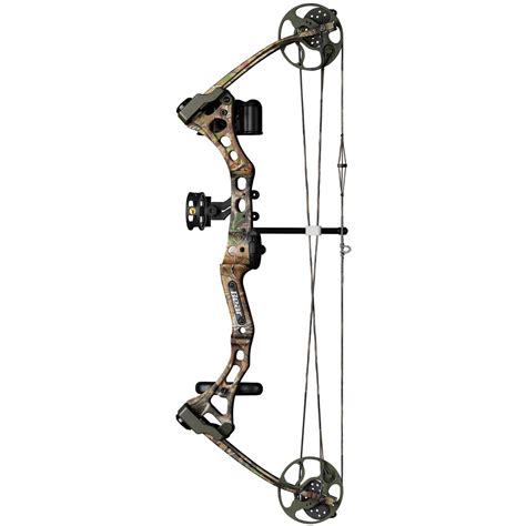 compound bow price in india|cheapest compound bow packages.